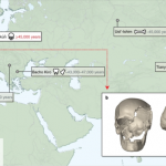 Fossils used to map DNA across the globe