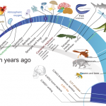 Original image file retrieved 2023 from Wikimedia Commons: https://commons.wikimedia.org/wiki/File:Timeline_evolution_of_life.svg